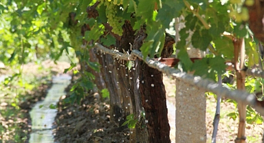 Sulamalarda digital çağ