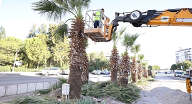 Dünya Temizlik Günü Etkinliği