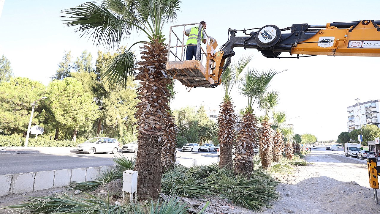 Dünya Temizlik Günü Etkinliği