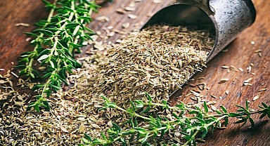 EİB’nin ihracatı ağustos ayında 1,5 milyar doları aştı