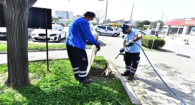İzmir Büyükşehir Belediyesi ilaçlama çalışmalarına hız verdi