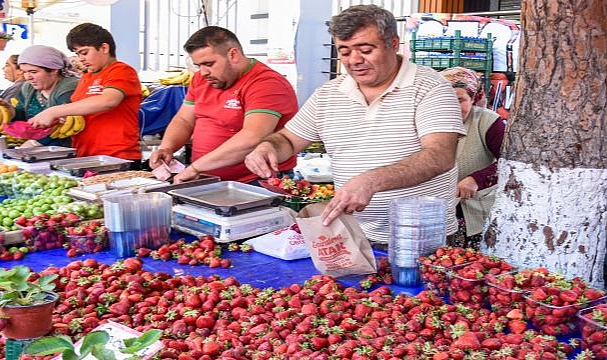 Emiralem Çileği, Yüz Binleri Menemen'de Buluşturdu