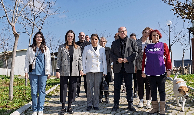 “Siz de Bir Patili Dost Edinmeye Ne Dersiniz?”