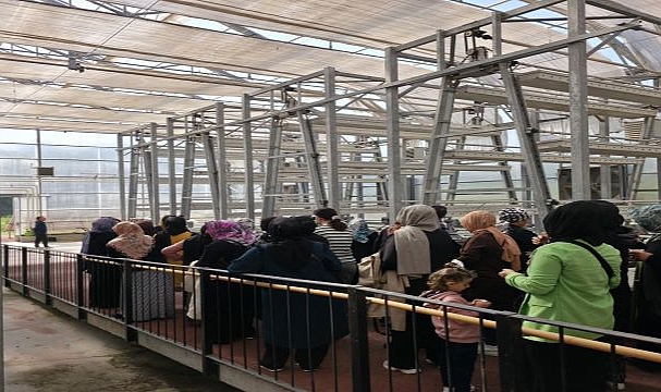 İZTAM’da kadın çiftçilerin günü