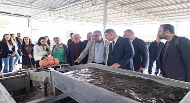 Sezonun ilk zeytinyağı Başkan Tugay’dan