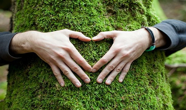 “Doğayla Bütünleşen Şehirler”